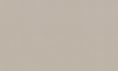 Обои TrendColor 10 ВВ ГТ ФО винил на флизе горячее тиснение 1,06*10 м TC72460-48