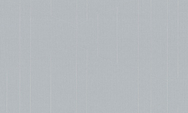 Обои TrendColor Trend Lines ВВ ГТ ФО винил на флизе горячее тиснение 1,06*10 м TC72376-41*