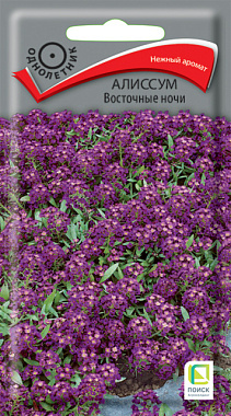 Алиссум Поиск Восточные ночи Однолетние 0,3 г 130330