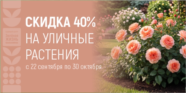 Скидка 40% на уличные растения
