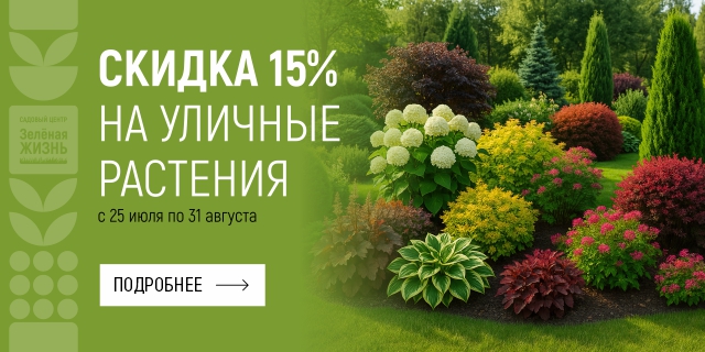 Скидка 15% на уличные растения