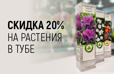 -20% на растения в тубах