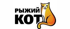 Рыжий кот