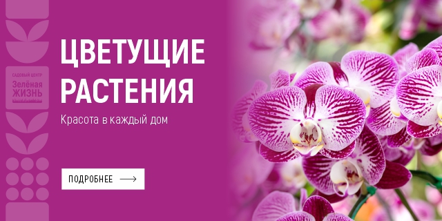 Цветущие растения