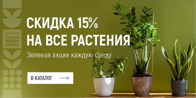 Зеленая акция