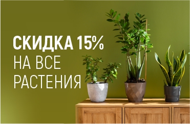 зеленая акция каждую среду