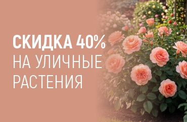яркая осень в саду