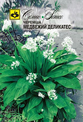 Черемша Семко Медвежий деликатес