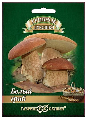 Гриб белый Гавриш на зерновом субстрате 15 мл