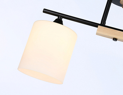 Люстра Ambrella TR9543/2 BK/FR черный/белый матовый E27/2 max 40W 435*120*280