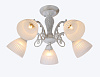 Люстра Schaffner Camila 74426-5 5*E27 60W 60*60*32 см