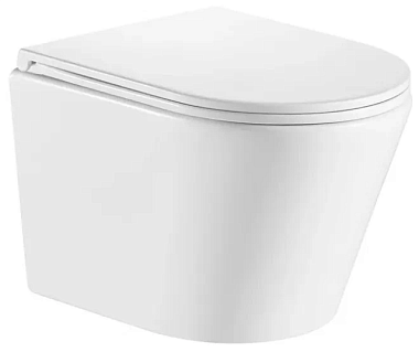 Унитаз подвесной Eva Gold К504 безободковый сиденье тонкое дюропласт крепления*