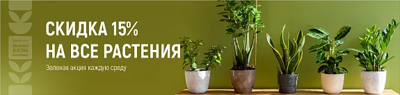 зеленая акция каждую среду