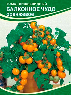 Томат Семко Балконное чудо оранжевое