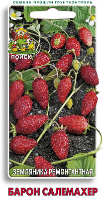 Земляника ремонтантная Поиск Барон Солемахер А ЦВ 100 шт 699867