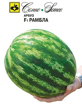 Арбуз Семко Рамбла F1