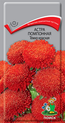 Астра Поиск помпонная Тёмно-красная однолетняя ЦВ "1 0,3 г