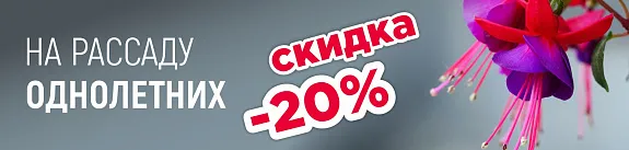 рассада однолетних