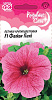 Петуния Гавриш Фалкон Пинк F1 крупноцв. пробирка Саката серия Розовые сны 5 шт 1912238049