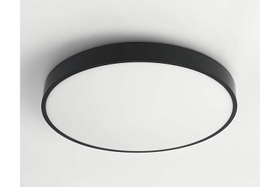 Светильник светодиодный Ambrella Orbital FZ1205 BK черный без ПДУ IP54 18W 5000K D270*60