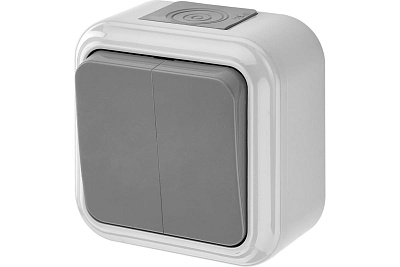 Выключатель Bylectrica Пралеска Аква ОУ 2 кл. 6А серый пластик IP54 А56-224 (03) 676136