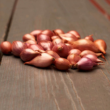 Лук-севок Россана уп-0,5 кг 831517