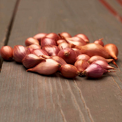 Лук-севок Россана уп-0,5 кг 831517