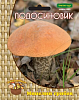 Подосиновик 60 мл. 430690