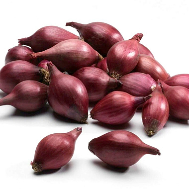 Лук-севок Кармен 8/21 0,5 кг