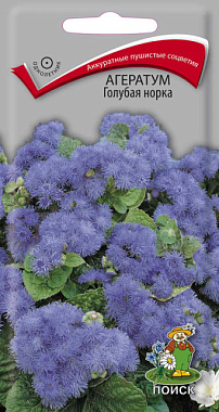 Агератум Поиск Гоубая норка Однолетние 0,1 г 120620