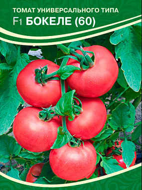 Томат Семко Бокеле F1