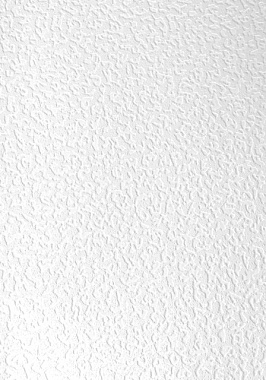 Обои Erismann Defender винил на флизелиновой основе под покраску 1,06*25 м 2855-1*