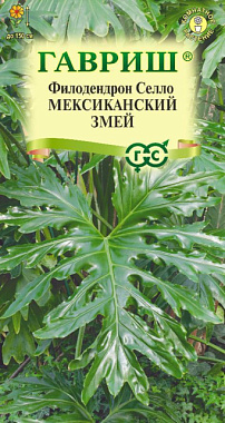 Филодендрон Селло Гавриш Мексиканский змей 5 шт 1910563