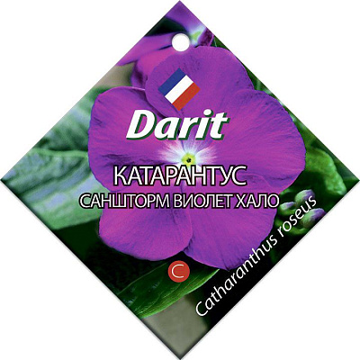 Катарантус Darit Саншторм Виолет Хало семена 10 шт 5689