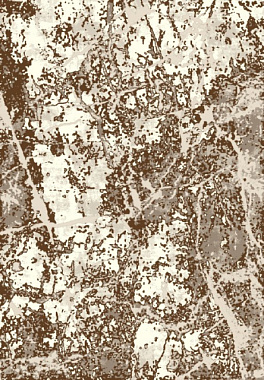 Ковер Kaplancer Faber Прямоугольник 3*5 м C891A BROWN/CREAM