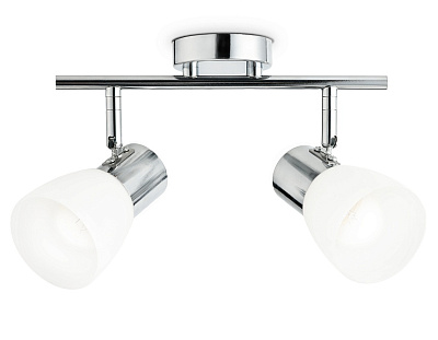 Спот настенно-потолочный Ambrella TR3963/2 CH/FR хром/белый матовый E27*2 max 40W 200*105