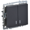 Выключатель IEK Brite ВС10-2-1-БрГ BR-V20-1-10-K53 двухклавишный с индикацией графит 10А