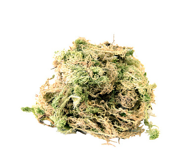 Мох сфагнум 0,7 л 9497