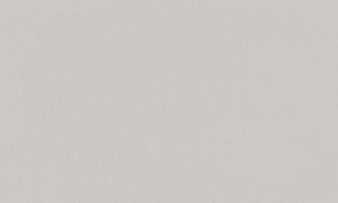 Обои TrendColor 10 ВВ ГТ ФО винил на флизе горячее тиснение 1,06*10 м TC72575-24