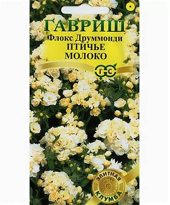 Флокс Гавриш Птичье молоко друммонда серия Элитная клумба 8 шт DH