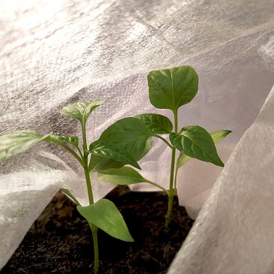 Агротекс 17 полурукав 1,6 м 3,2*500 м