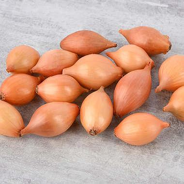 Лук-севок Сеттон 1 кг 804205