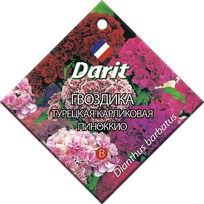 Гвоздика Darit турецкая карликовая Пиноккио семена 0,3 г 84752