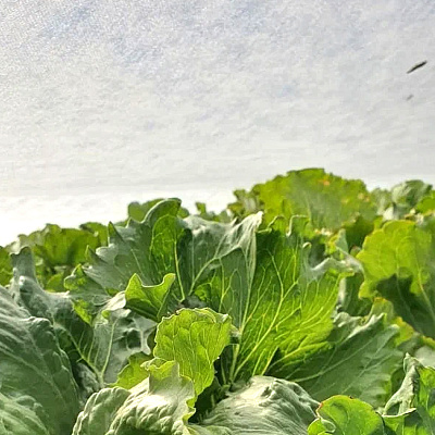 Агротекс 17 полурукав 1,6 м 3,2*500 м