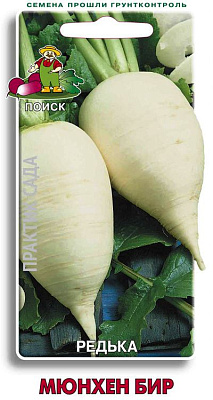 Редька Поиск Мюнхен Бир ЦВ 2 г