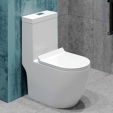 Монолит Eva Gold 5005 безободковый сиденье тонкое ДП арматура с гофрой и подводкой