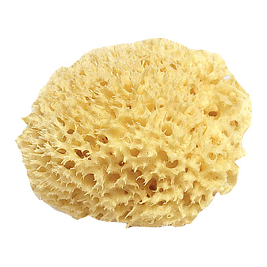 Губка Vincent Decor морская для декоративный покрытий 150-556