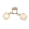 Люстра потолочная Milosh Gold Е27 2*60Вт H230*D460 мм 0614CL-2GD