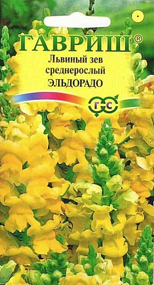 Антирринум Гавриш Львиный зев Солнечный 0,1 г***