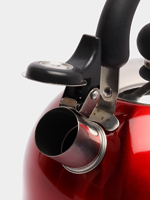 Чайник Добрыня газовый красный 2,5 л DO-2903R